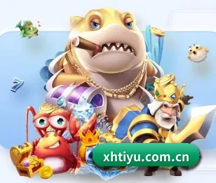 五个功能入口,赛程查询路径更短 - 多运动项目内容板块